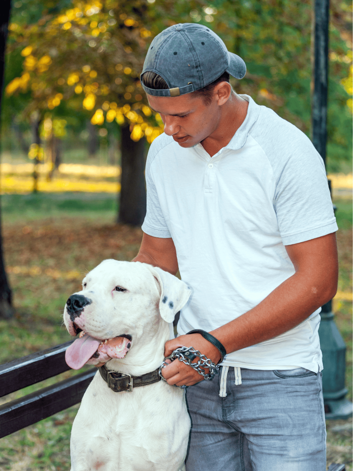 Dog care and training tips for pet owners.