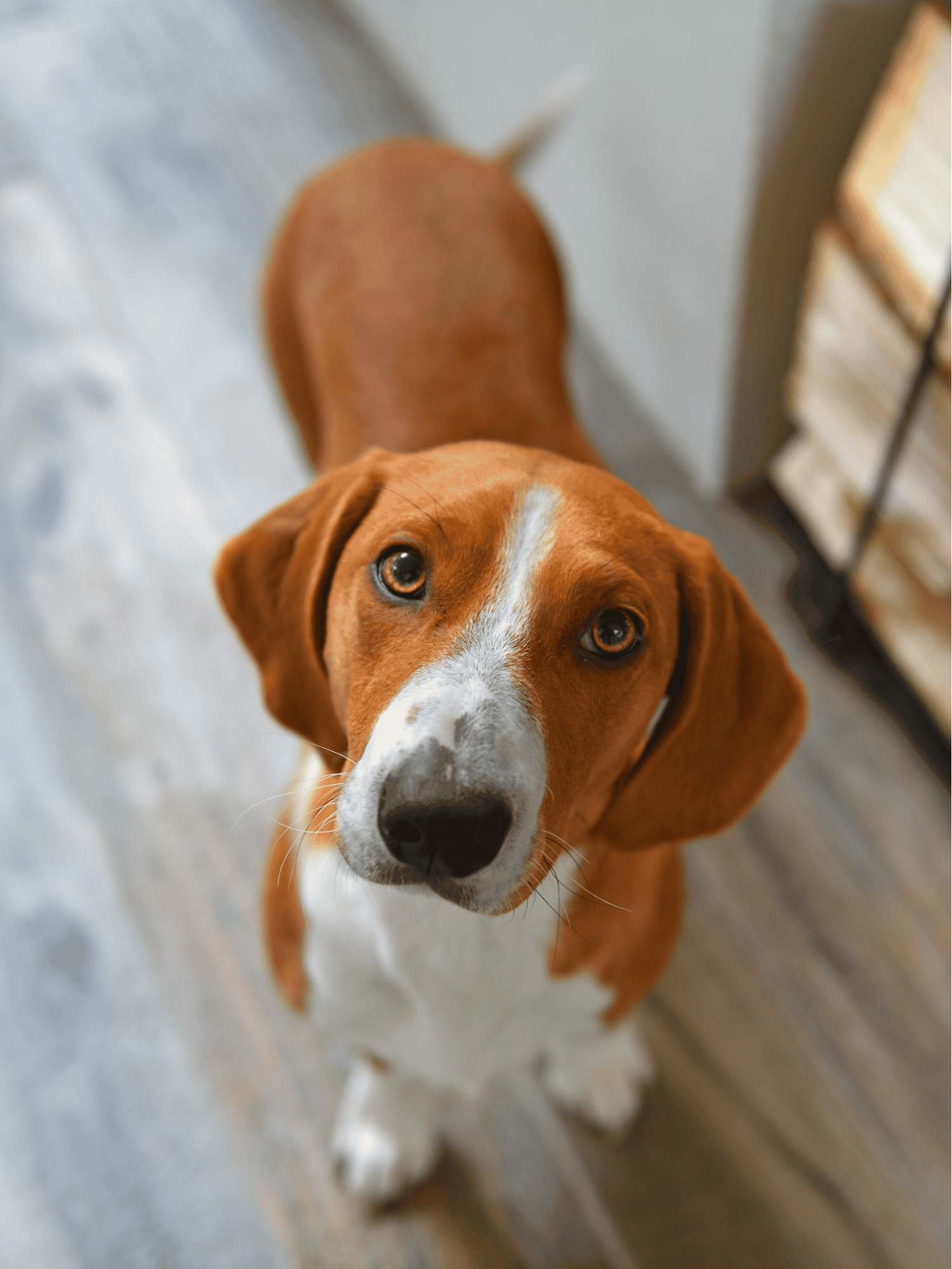 Drever characteristics