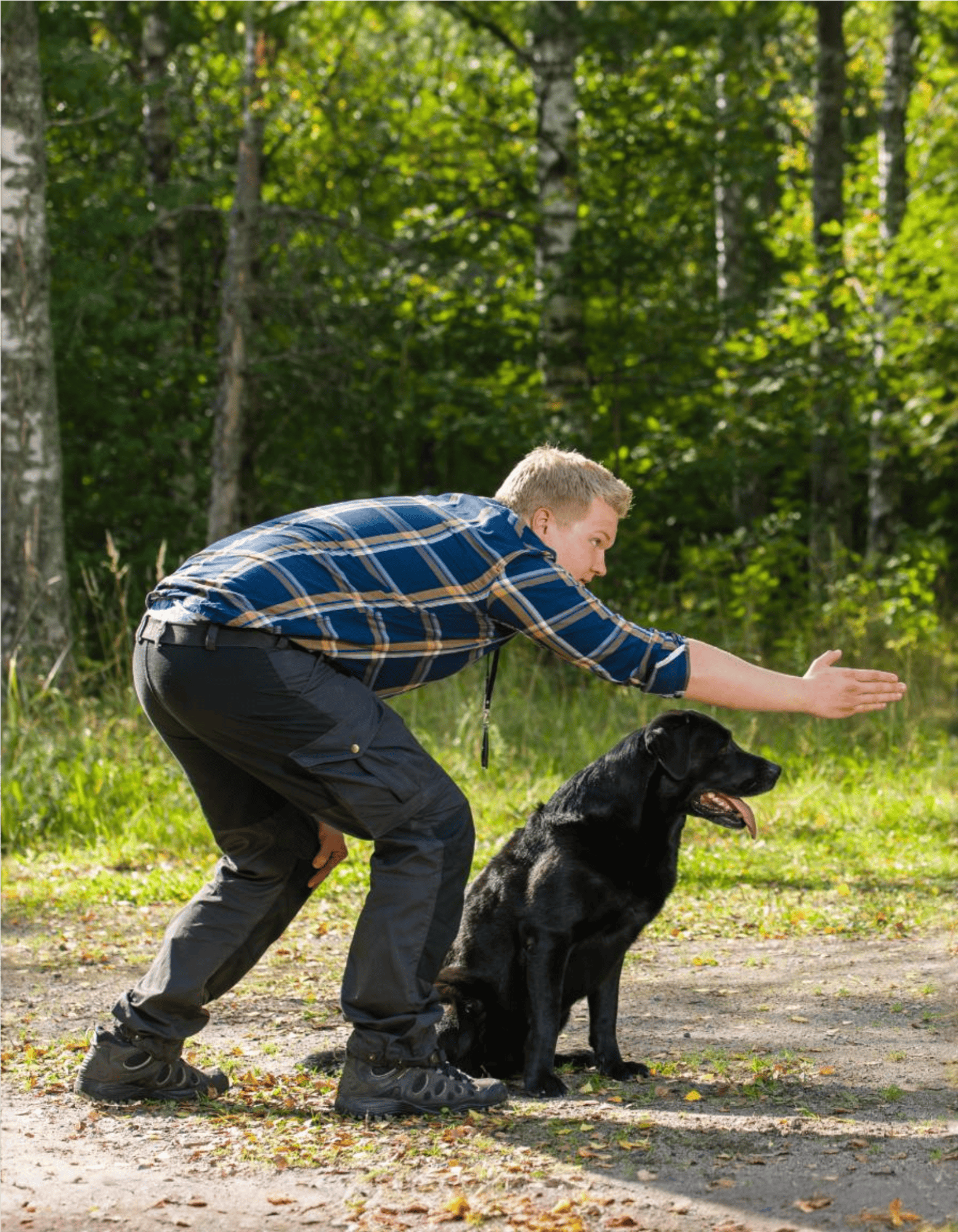 Dog obedience training session in park with owner, walking commands, positive reinforcement.