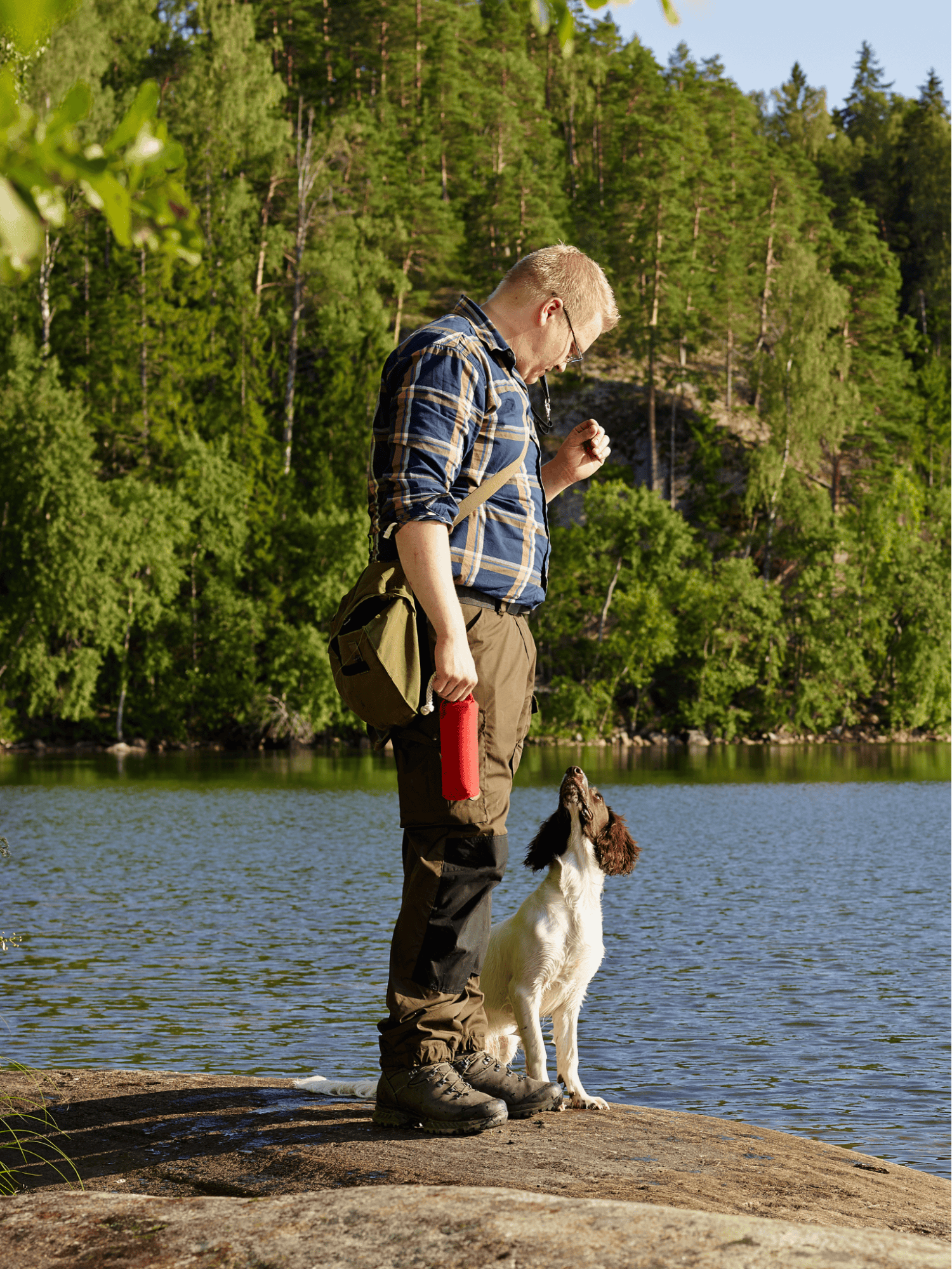 Dog with floppy ears, open mouth, tongue out, sitting on black background.