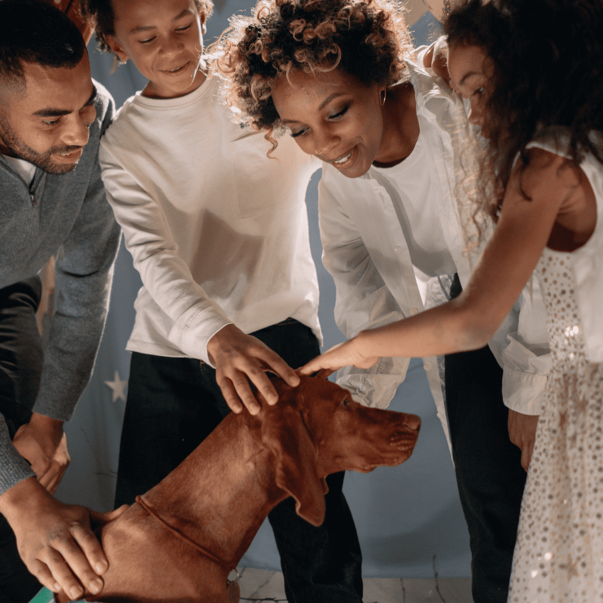 Happy group petting a brown dog together outdoors.