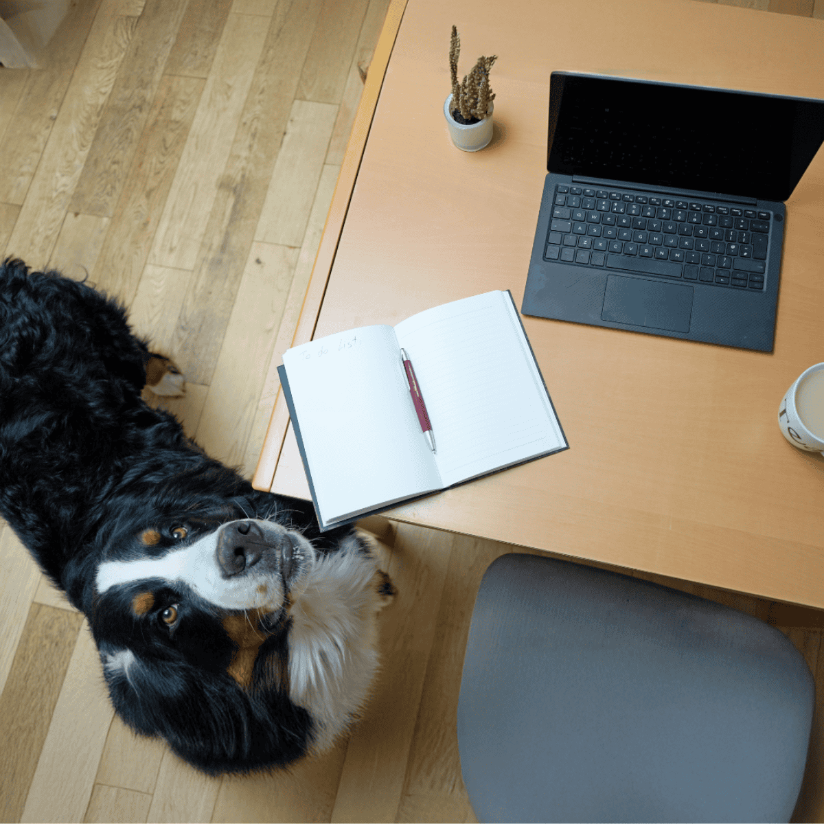 Dog sitting at a home office desk with a laptop, notebook, and coffee mug.