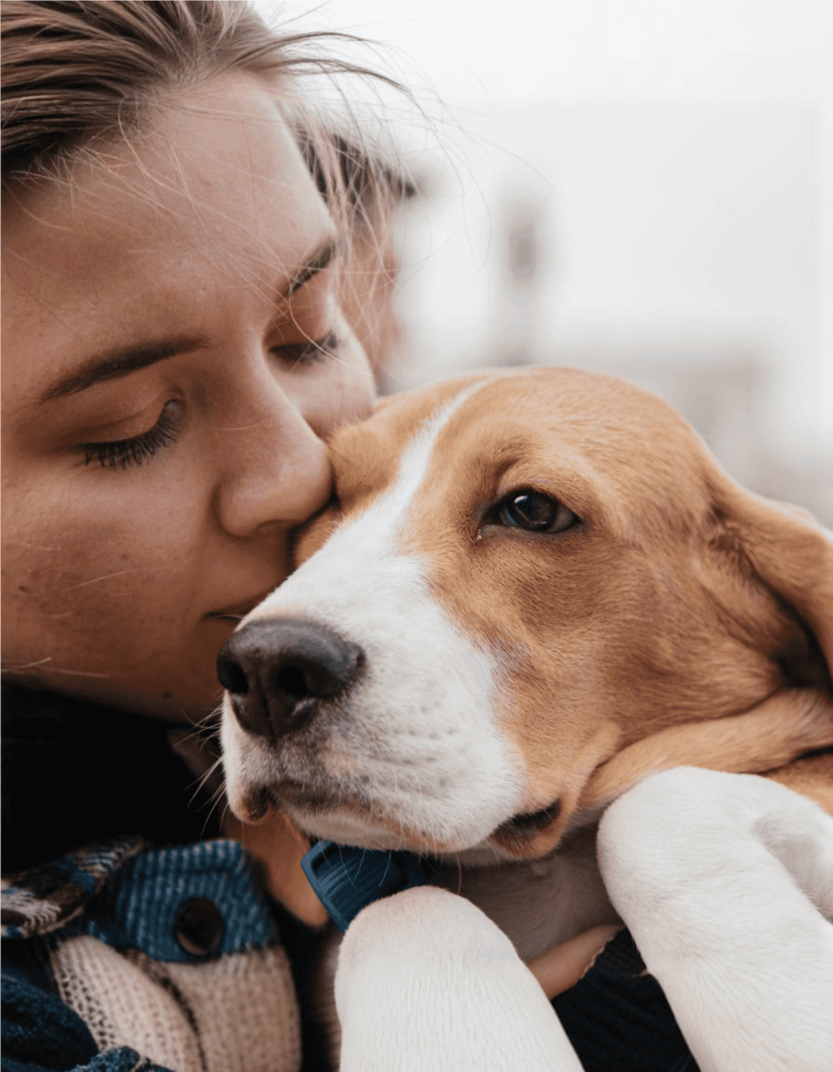 Close-up of a woman lovingly holding her dog, emphasizing pet care and grooming services offered by Dogfix.com for healthier dogs.