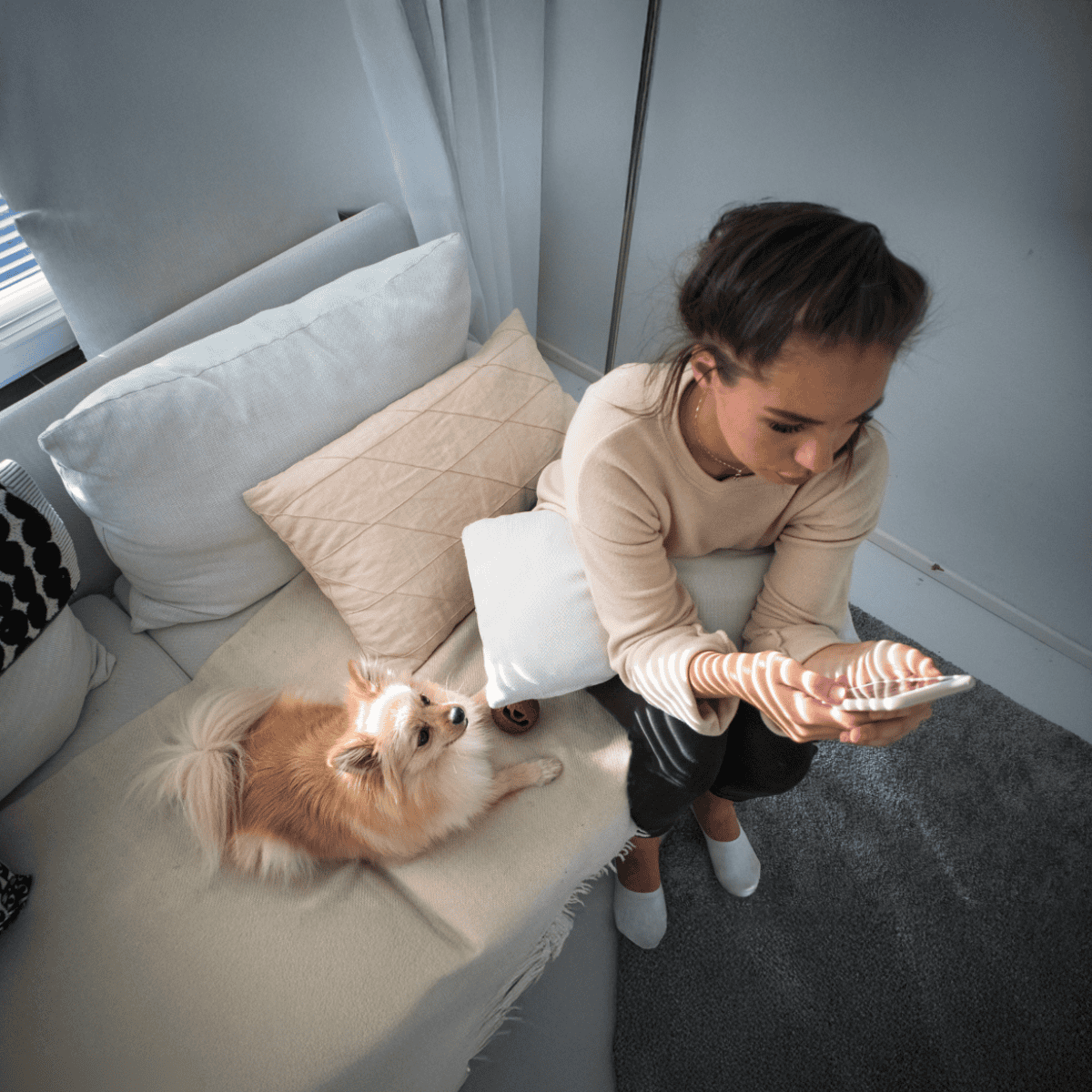 Comfortable dog and woman using smartphone for pet services.