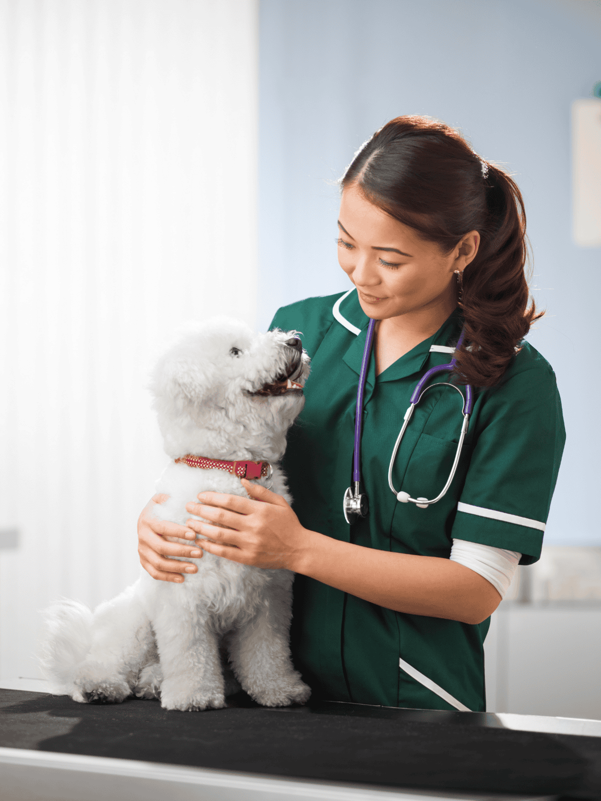 Friendly veterinarian with adorable white puppy.