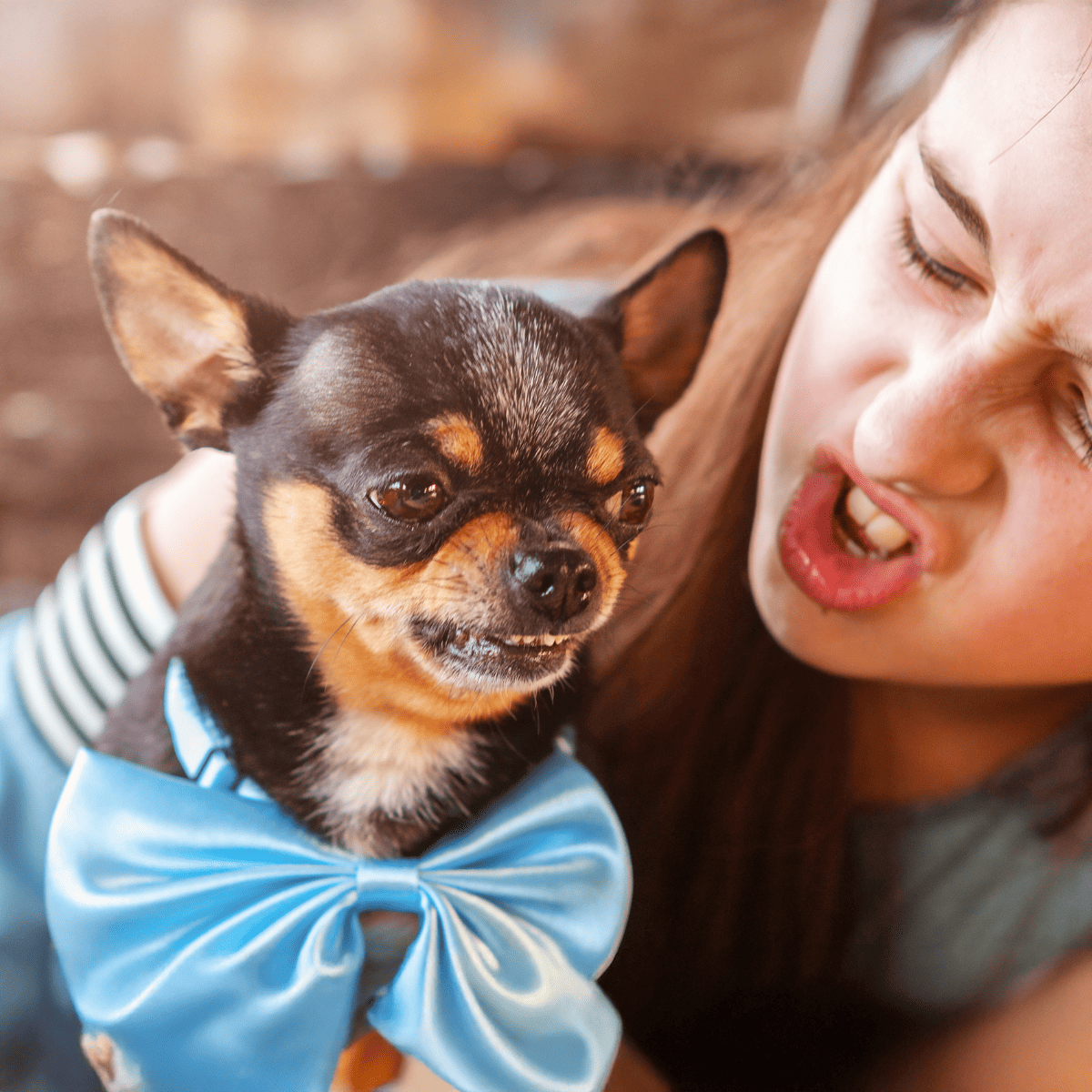 Close-up of a dog and a woman cuddling, showing affection, happiness, and companionship, with focus on love for pets.