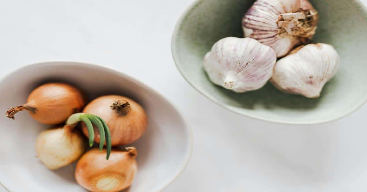 Image of onions and garlic cloves in bowls, showcasing natural ingredients, not suitable for dog diets.