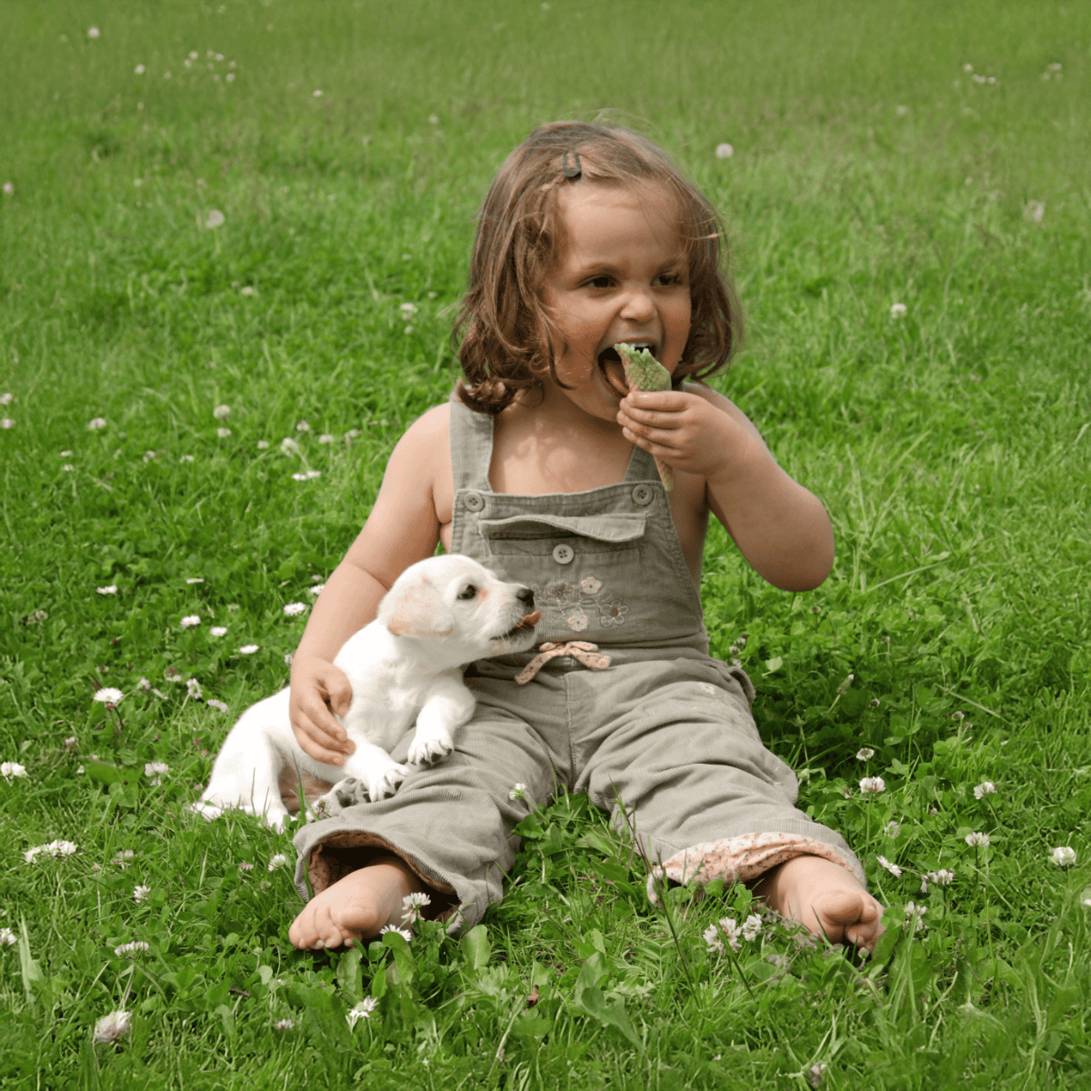 Girl with puppy eating outdoors, dog-friendly activities for kids and pets.