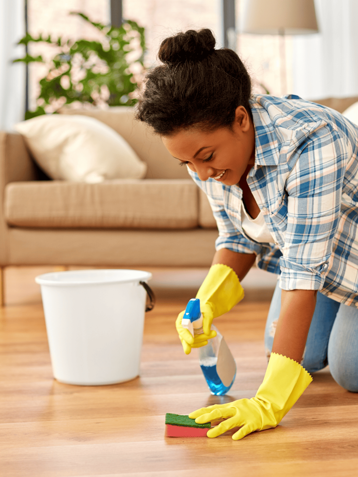 Affordable dog & pet cleaning solutions, expert care, and grooming services.