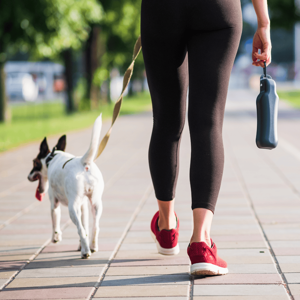 Bright, durable, and comfortable for daily walks.