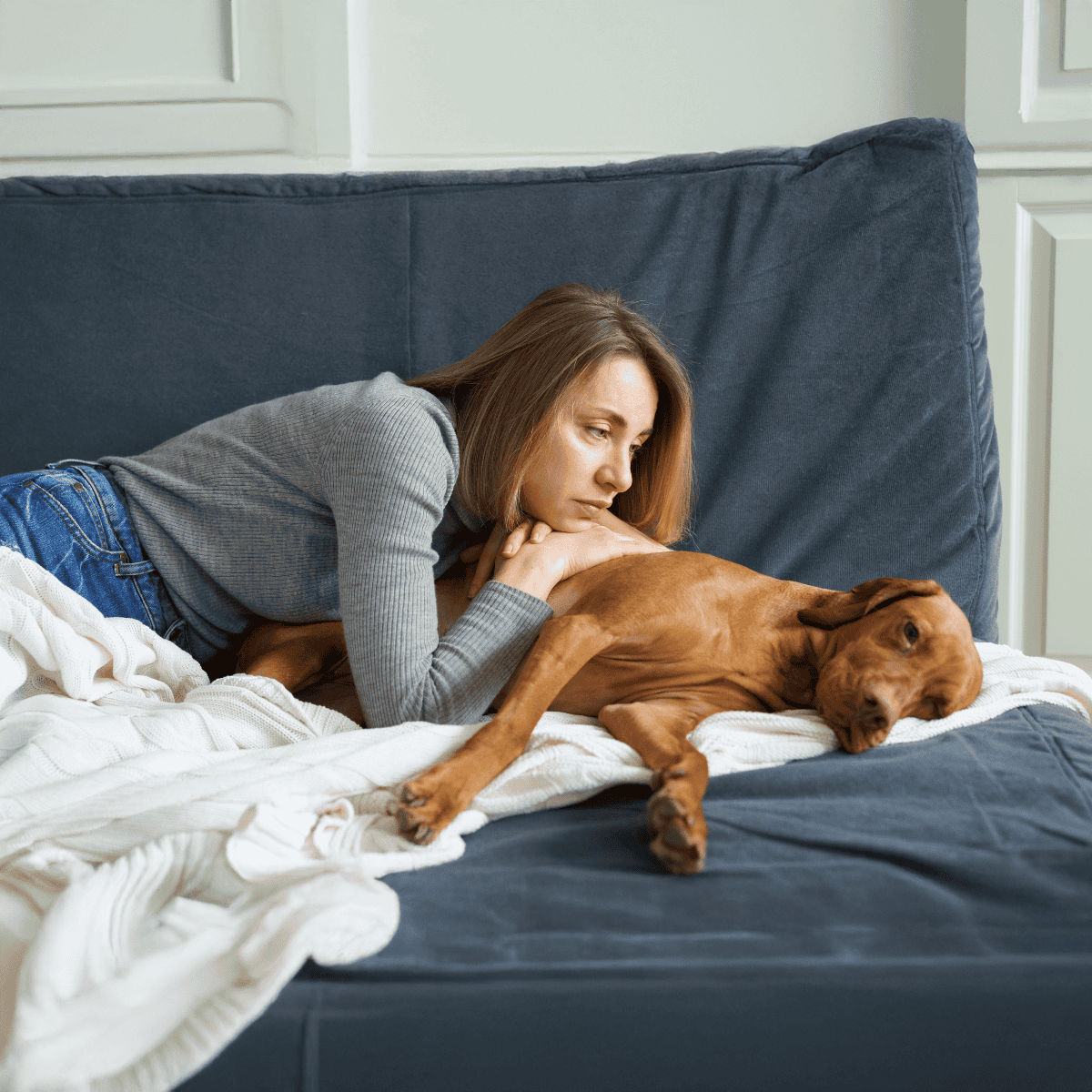 Relaxing pet care scene featuring a woman and her dog on the sofa.