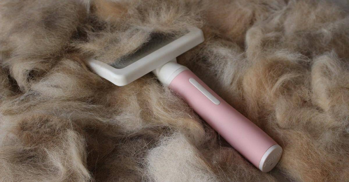 Gentle electric dog grooming brush ideal for removing loose hair and mats.
