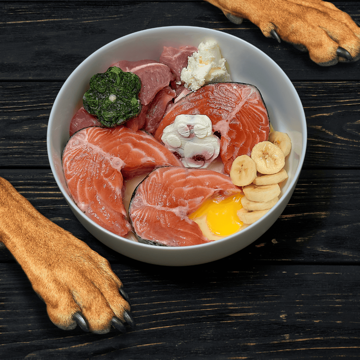 High-quality salmon, bananas, and nutritious toppings for homemade dog meals.