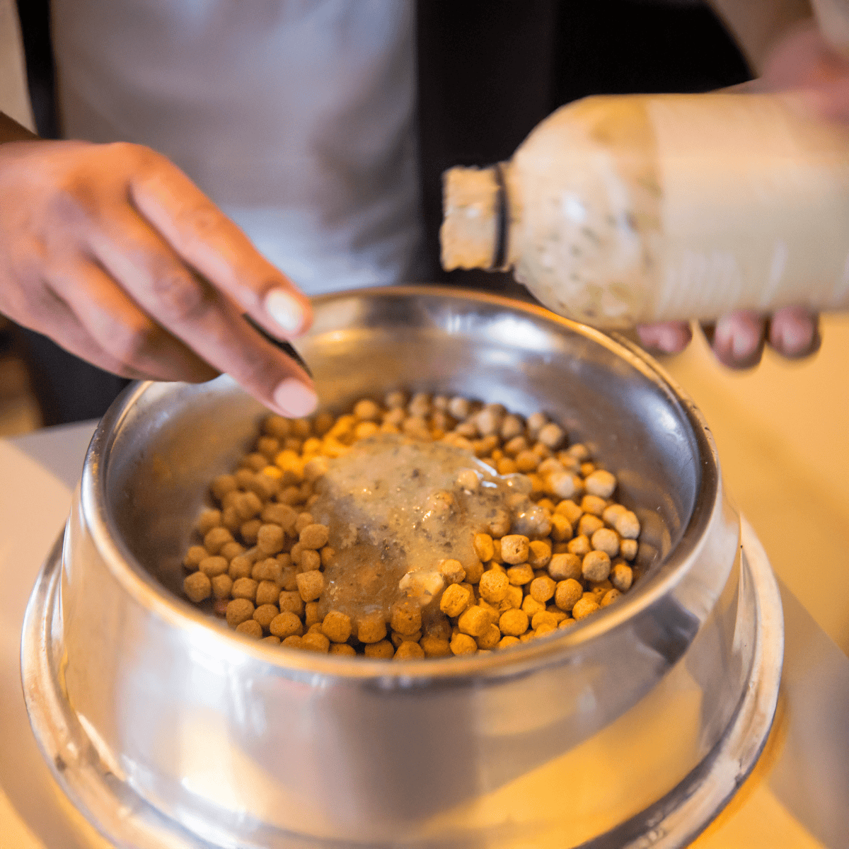 Close-up of pouring nutritious sauce over dry dog food in a metallic bowl.