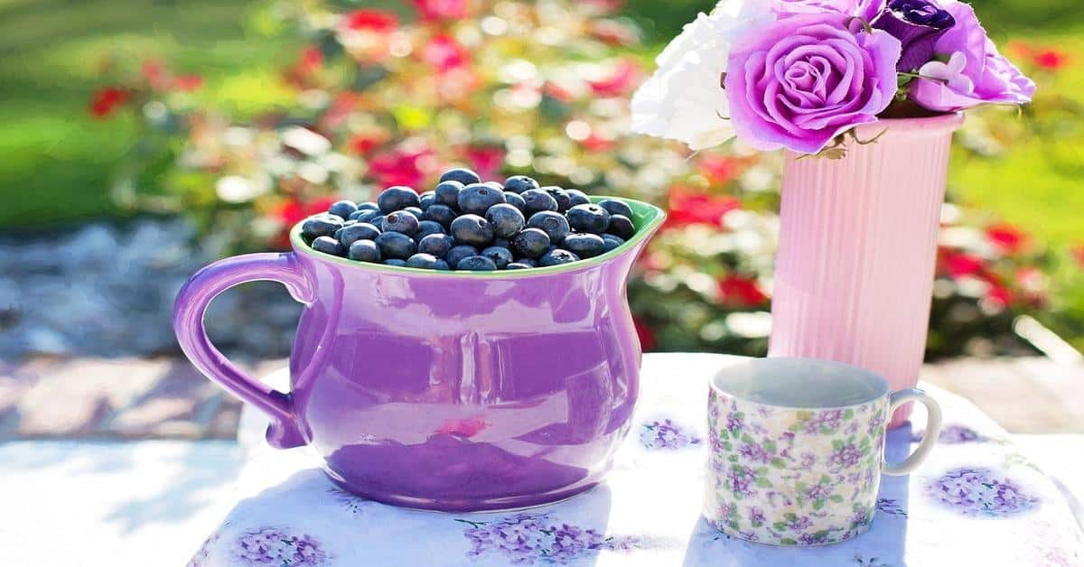 Bright purple mug filled with ripe blueberries, set on a table outdoors with flowers and garden background.