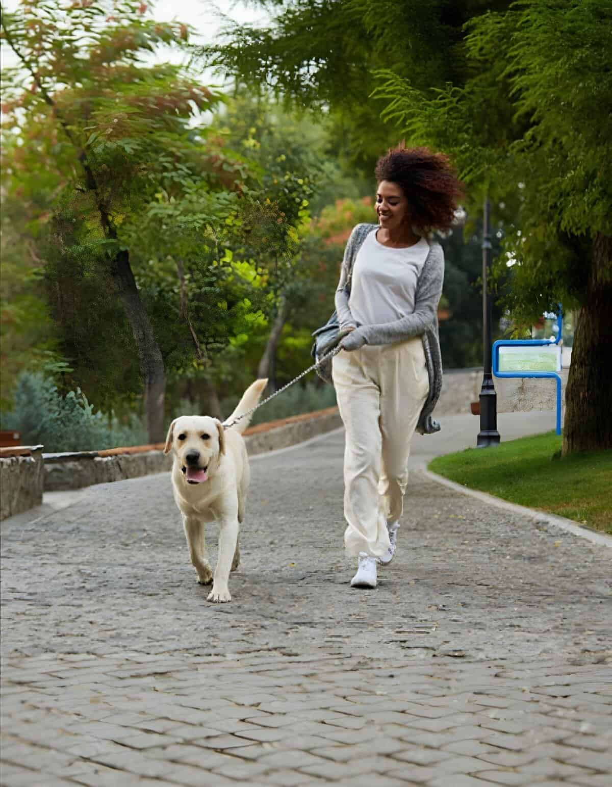 Dog walking, pet care, outdoor activity, healthy lifestyle, dog lover, dog leash.