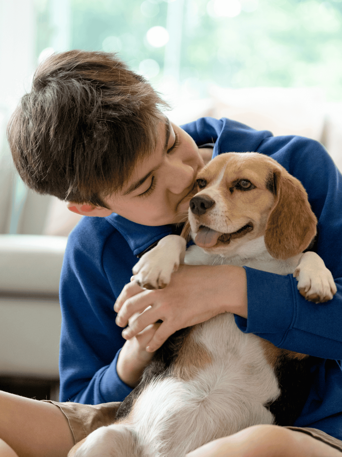 Adorable boy hugging happy beagle dog indoors. Cute cuddling moment. Dog bonding with owner, pet love, canine companionship, friendly pet.