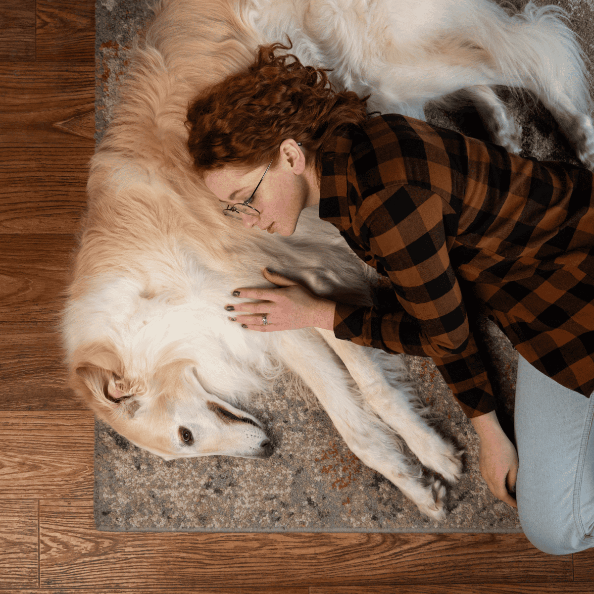 Comfortable pet-owner interaction, dog lying on rug, woman petting dog, calm and cozy moment.