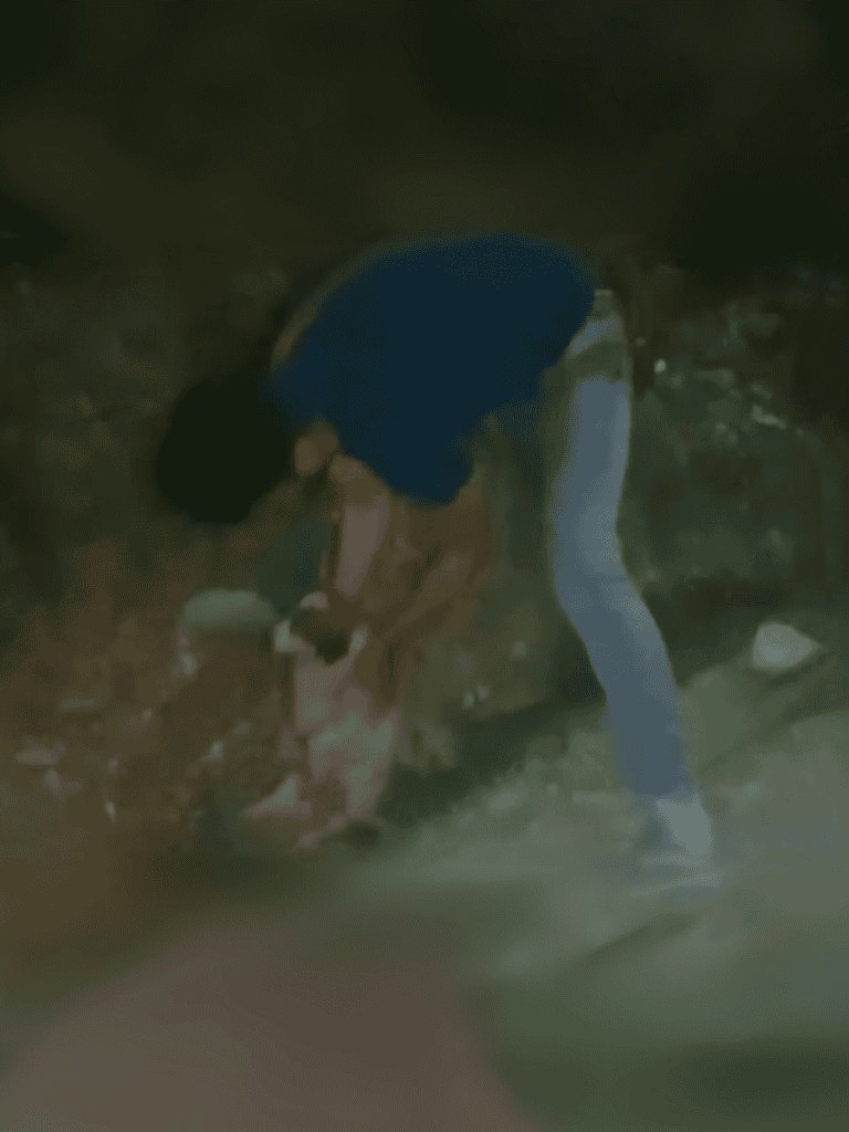 Rescue dog at riverbank.