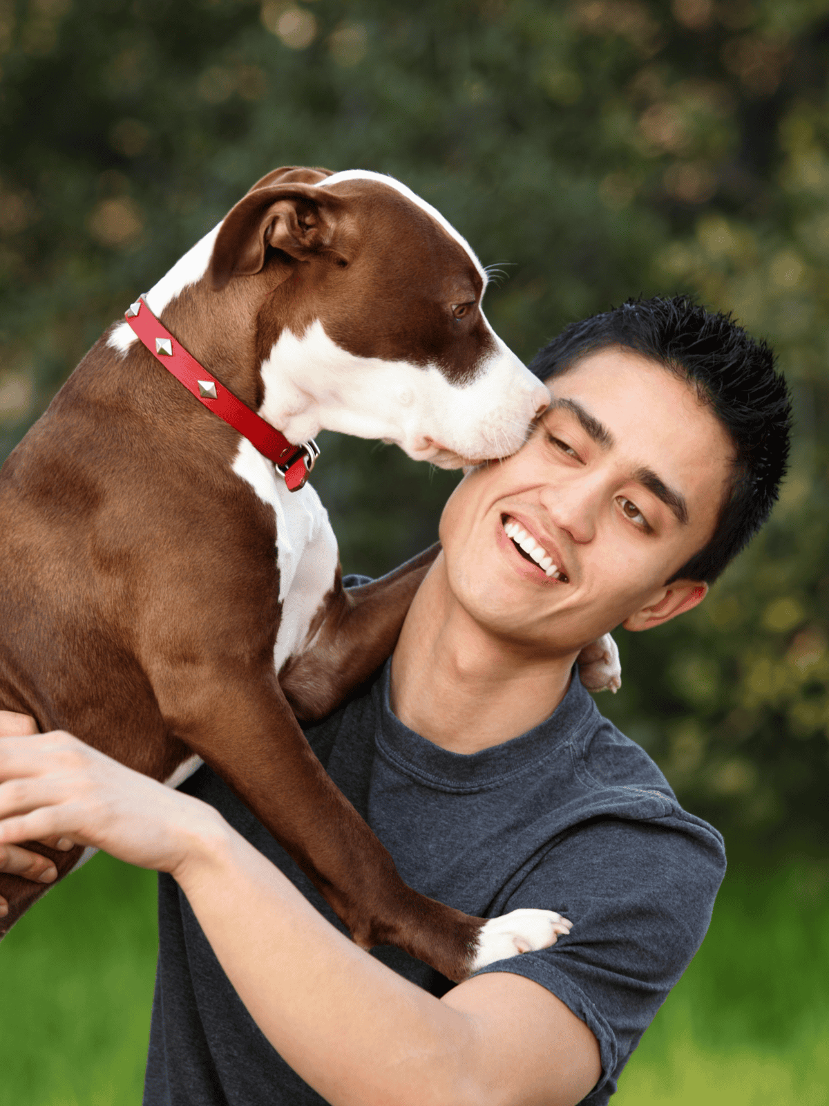 Adorable dog cuddling with smiling owner outdoors, affection and companionship, pet care, dog love.