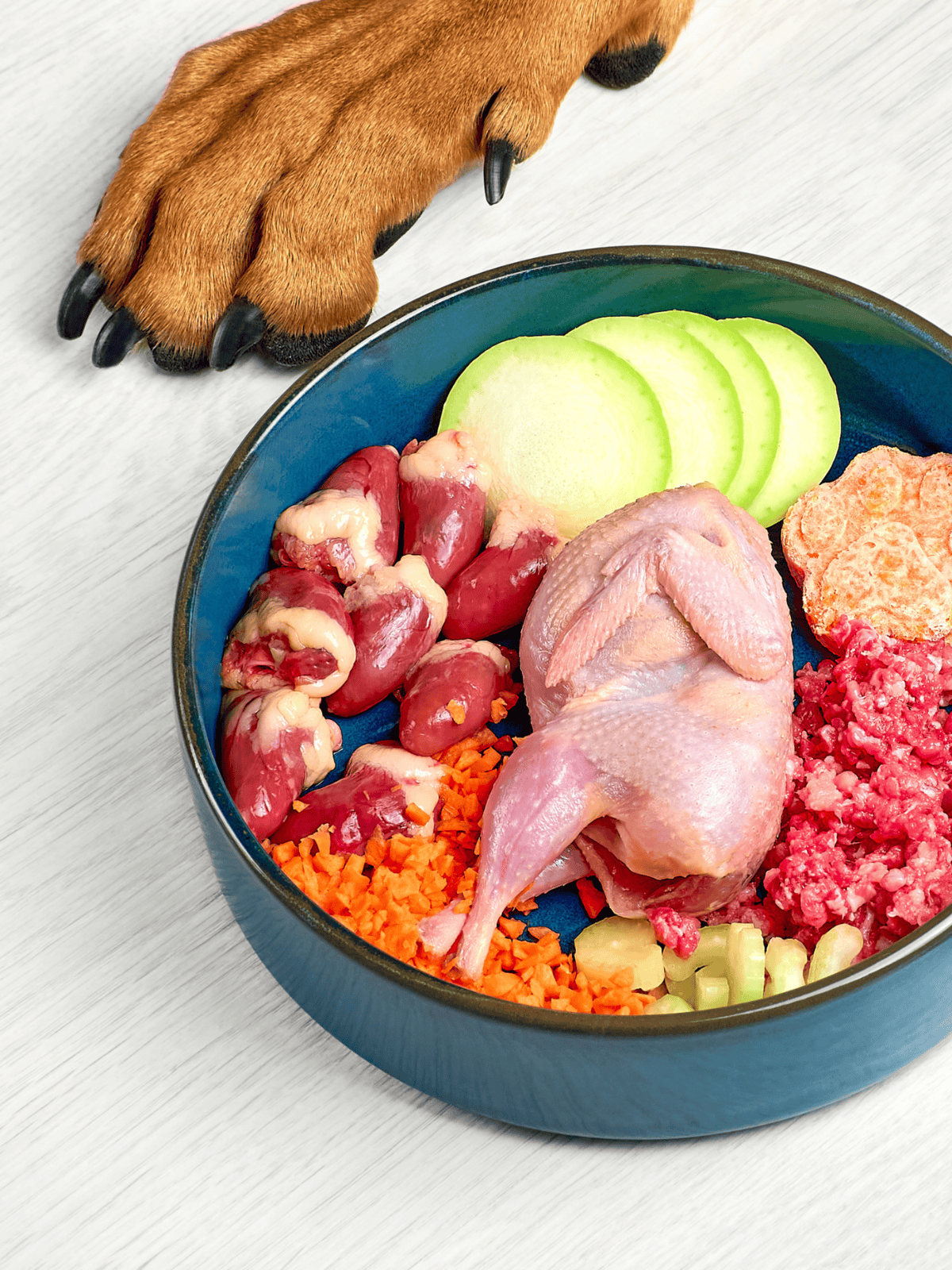 Fresh homemade raw dog food ingredients with chicken, vegetables, and meat for a balanced diet.