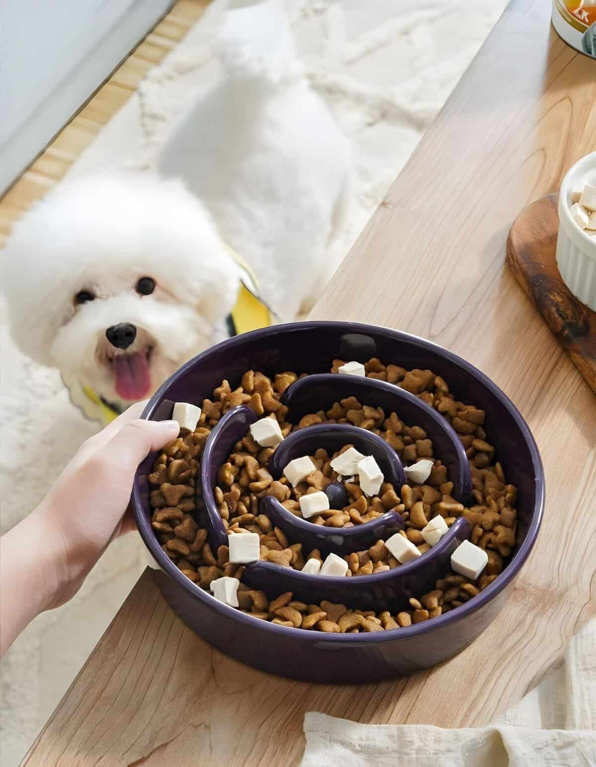 Pet food bowl with healthy kibble and cheese for dogs, featuring a cute dog eagerly waiting to eat.