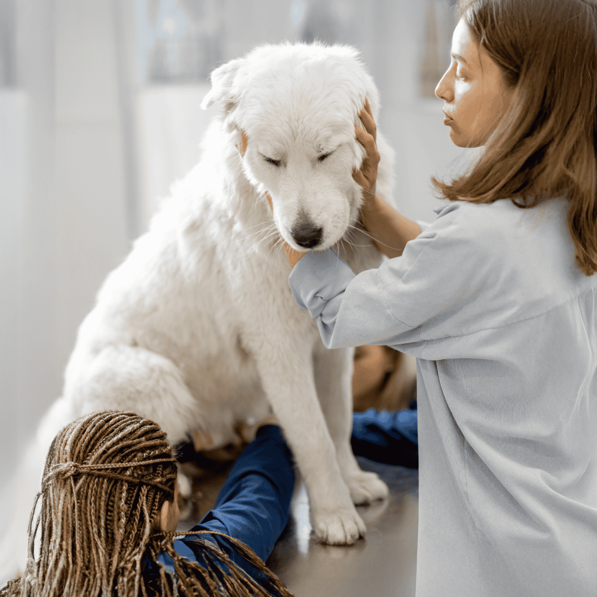 Gentle veterinarian examining a fluffy white puppy, emphasizing pet health and wellness.