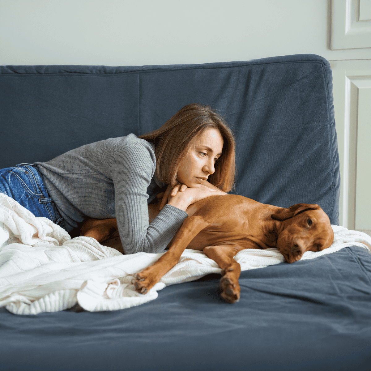Dog relaxing with owner on bed for comfort and companionship.