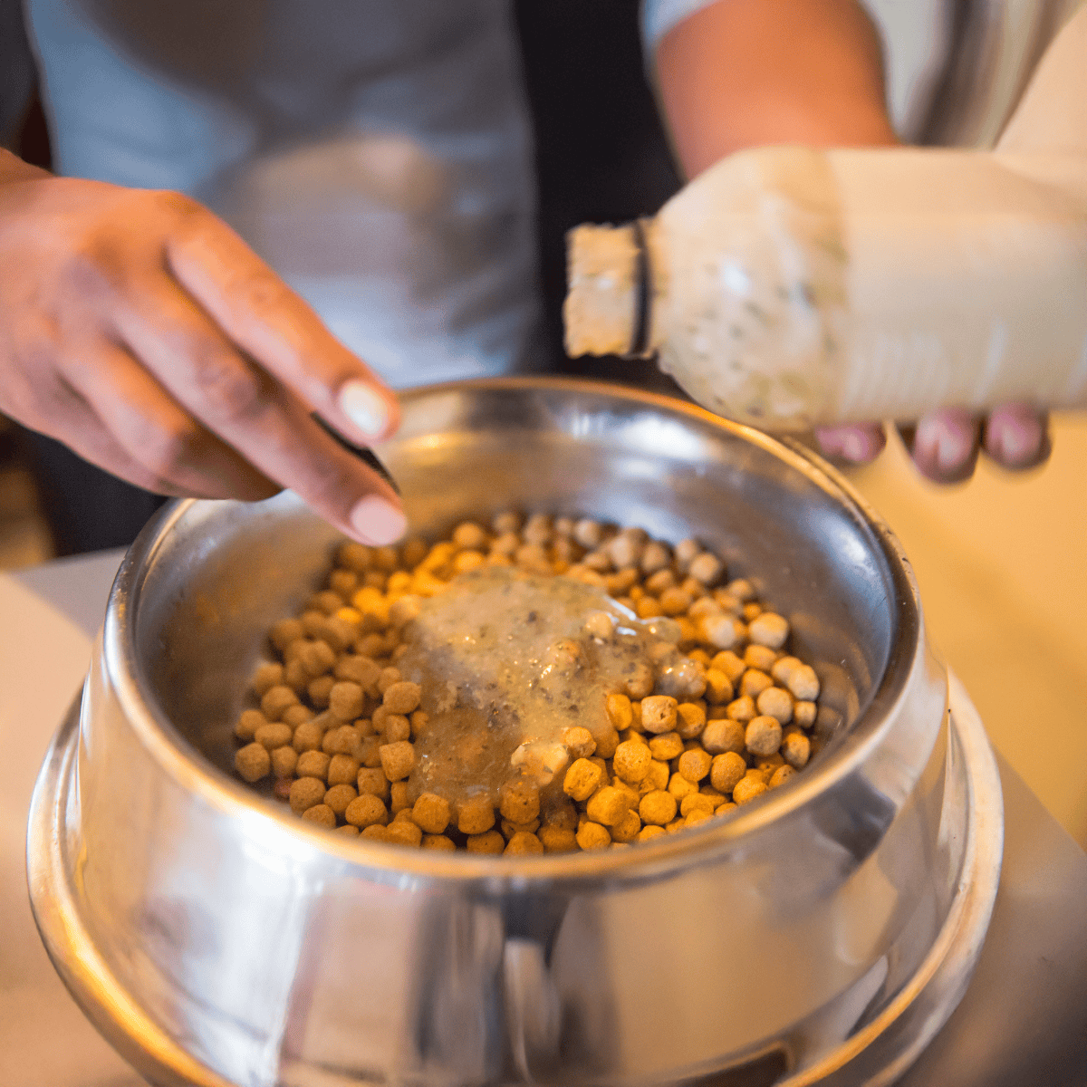 Close-up of a person pouring creamy dog food onto dry kibble in a stainless steel bowl.