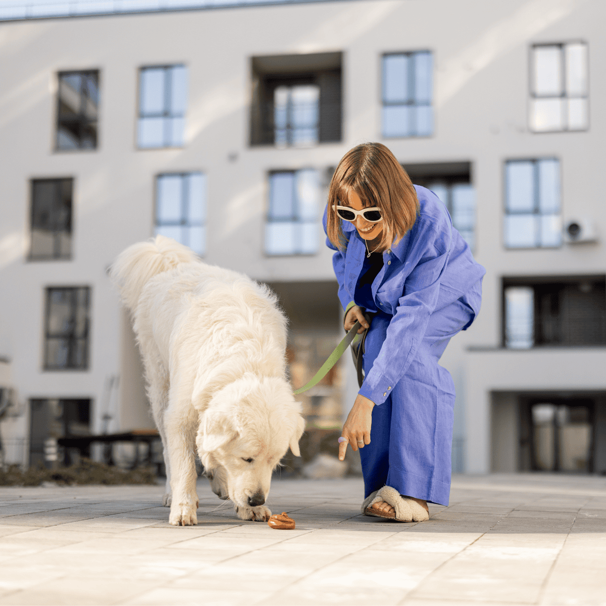 Woman playing with large white dog outside.