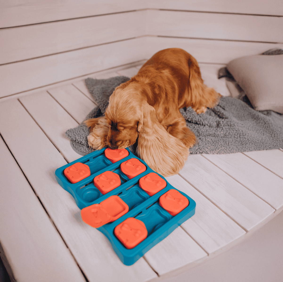 Dog puzzle toy with treat compartments for mental stimulation and fun.
