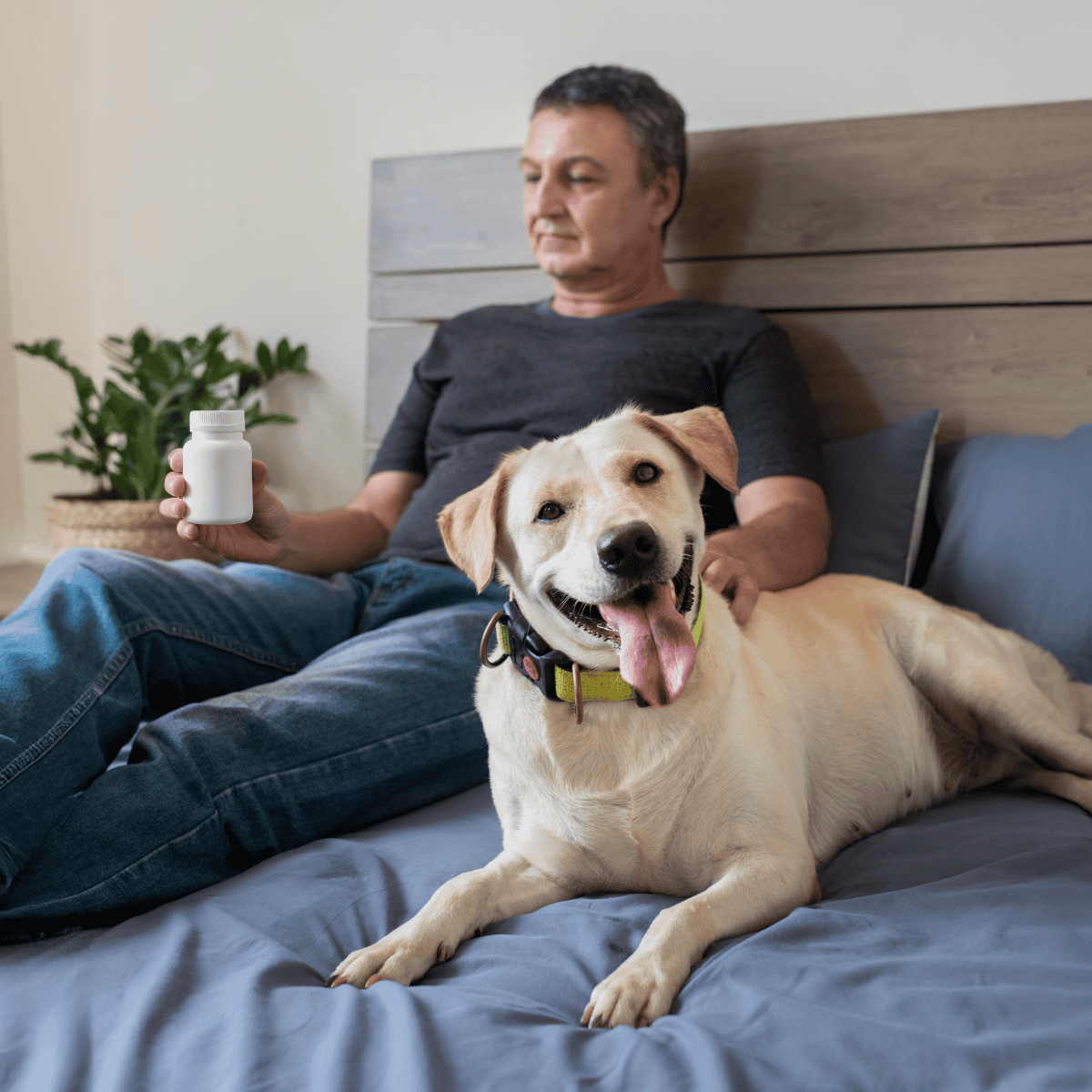 Dog and owner with health supplement, pet wellness, dog health support, calming products, Dogfix.com.