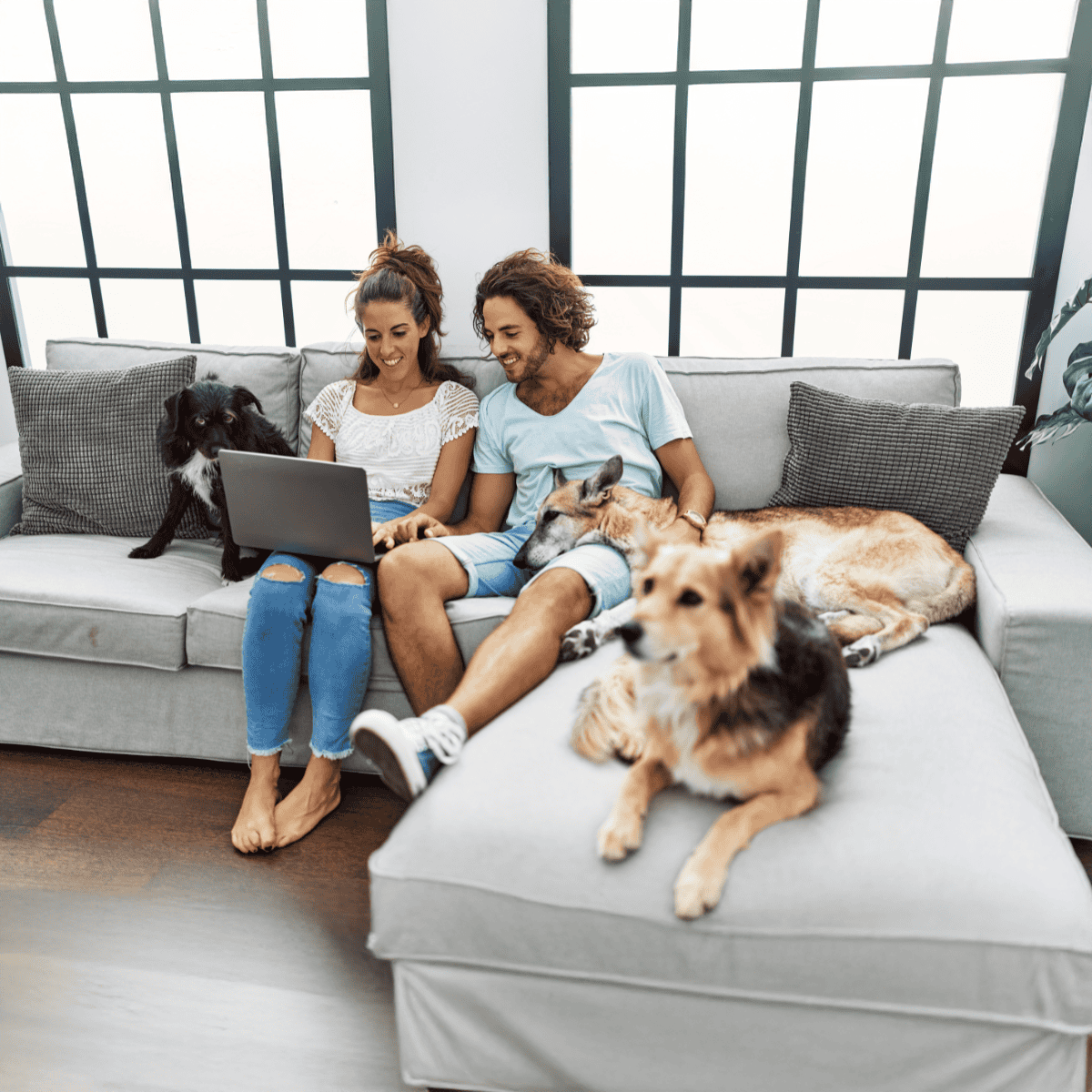 Cute dog and owner relaxing together on modern sofa, pet care, comfort, cozy home lifestyle.