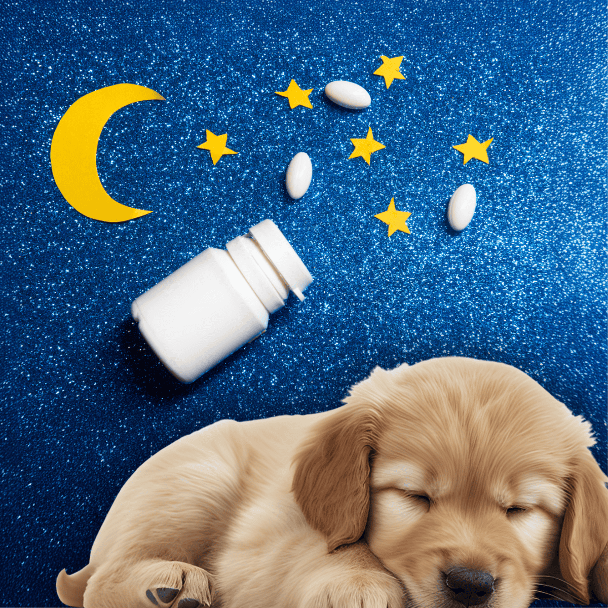 Vividly captures a sleeping puppy surrounded by pills, stars, and moon, illustrating health and calmness for dogs.