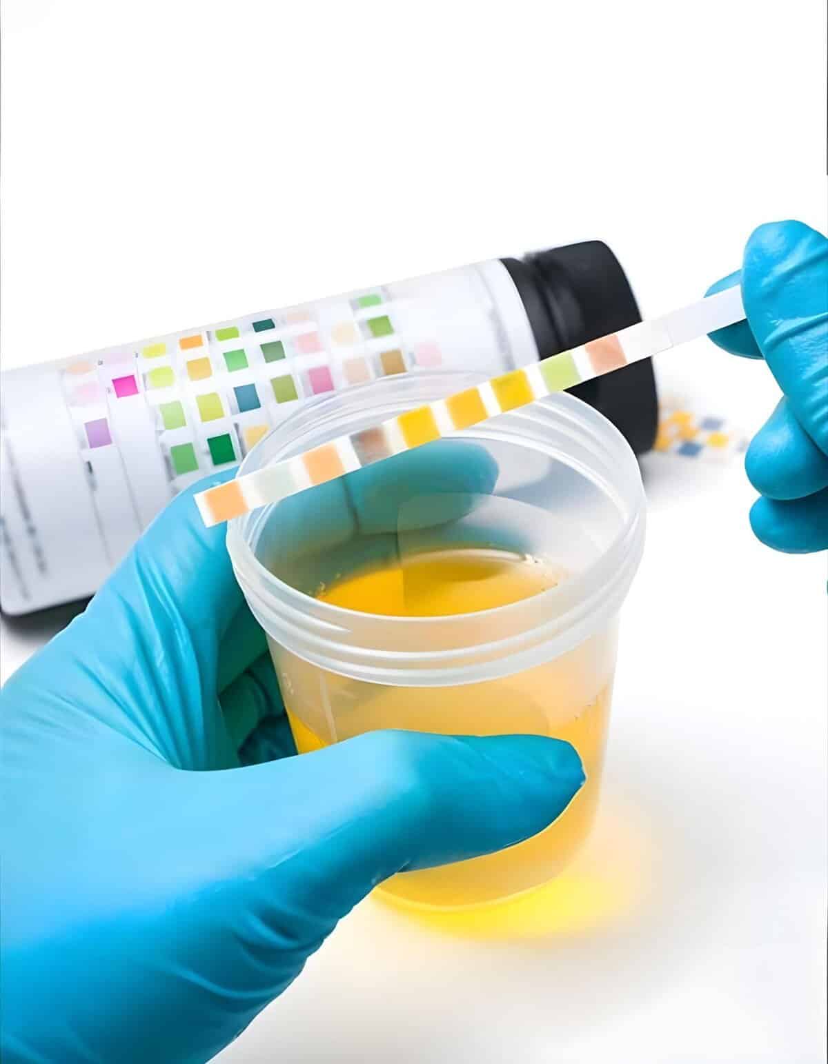 High-Quality Dog Urine Test Strips for Vet Diagnostics.