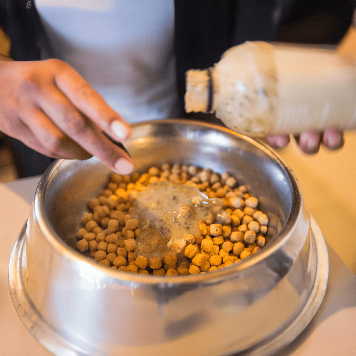 Healthy dog food preparation with mixed wet and dry food.