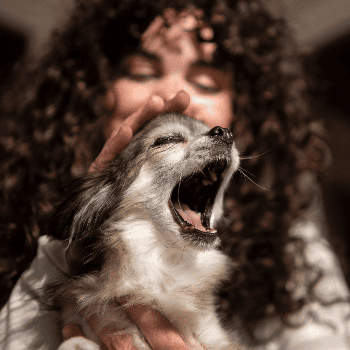 Happy dog enjoying a gentle hug, showcasing pet love and bonding.