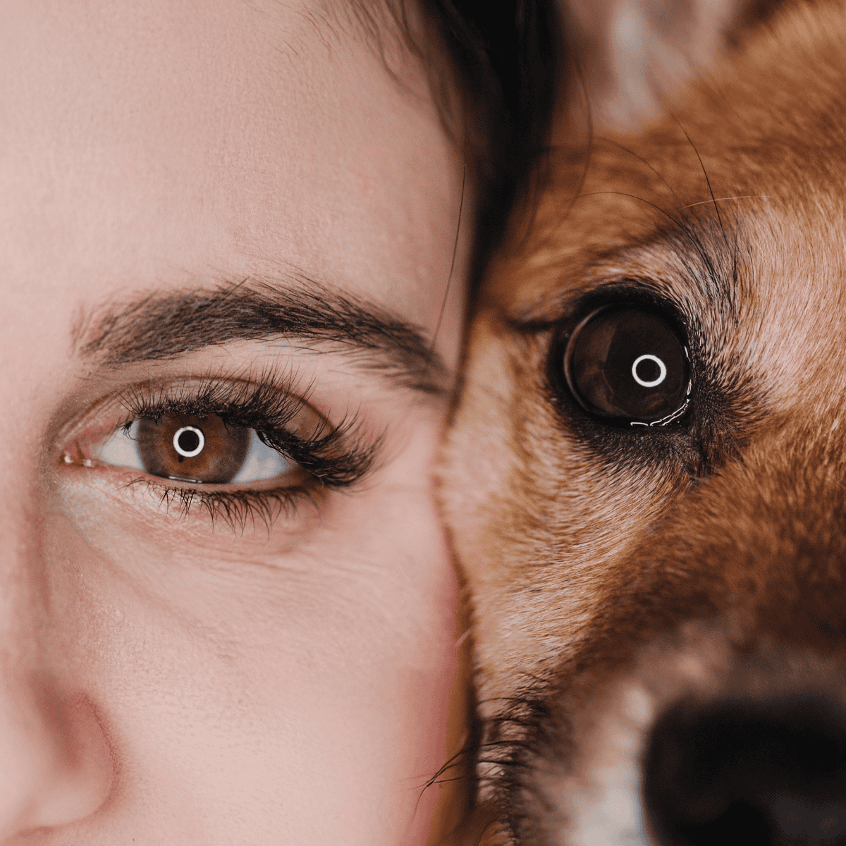 Close-up of a woman and dog eyes, emphasizing pet and human eye health.