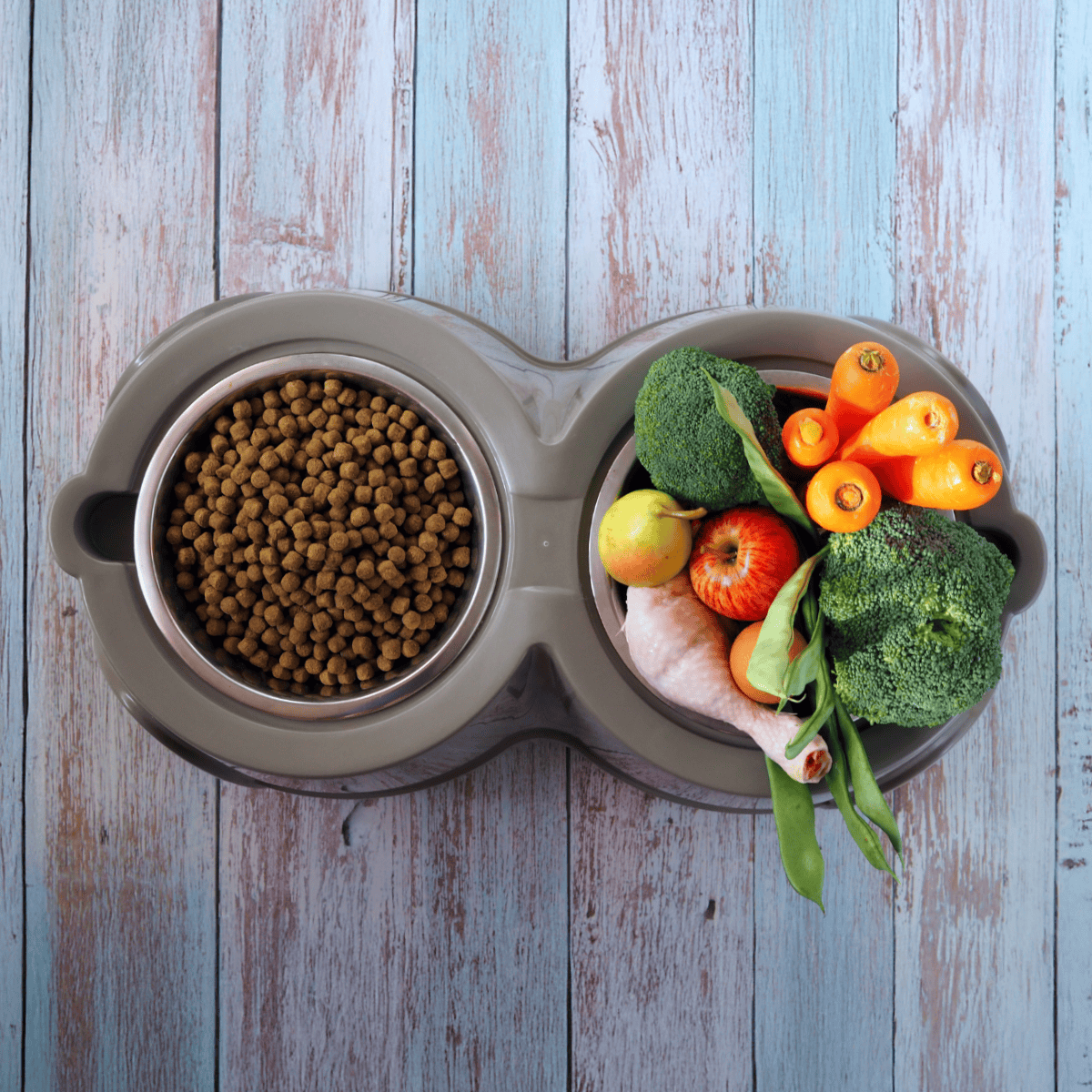 High-quality dog food bowl with kibble and fresh vegetables for healthy pet nutrition.