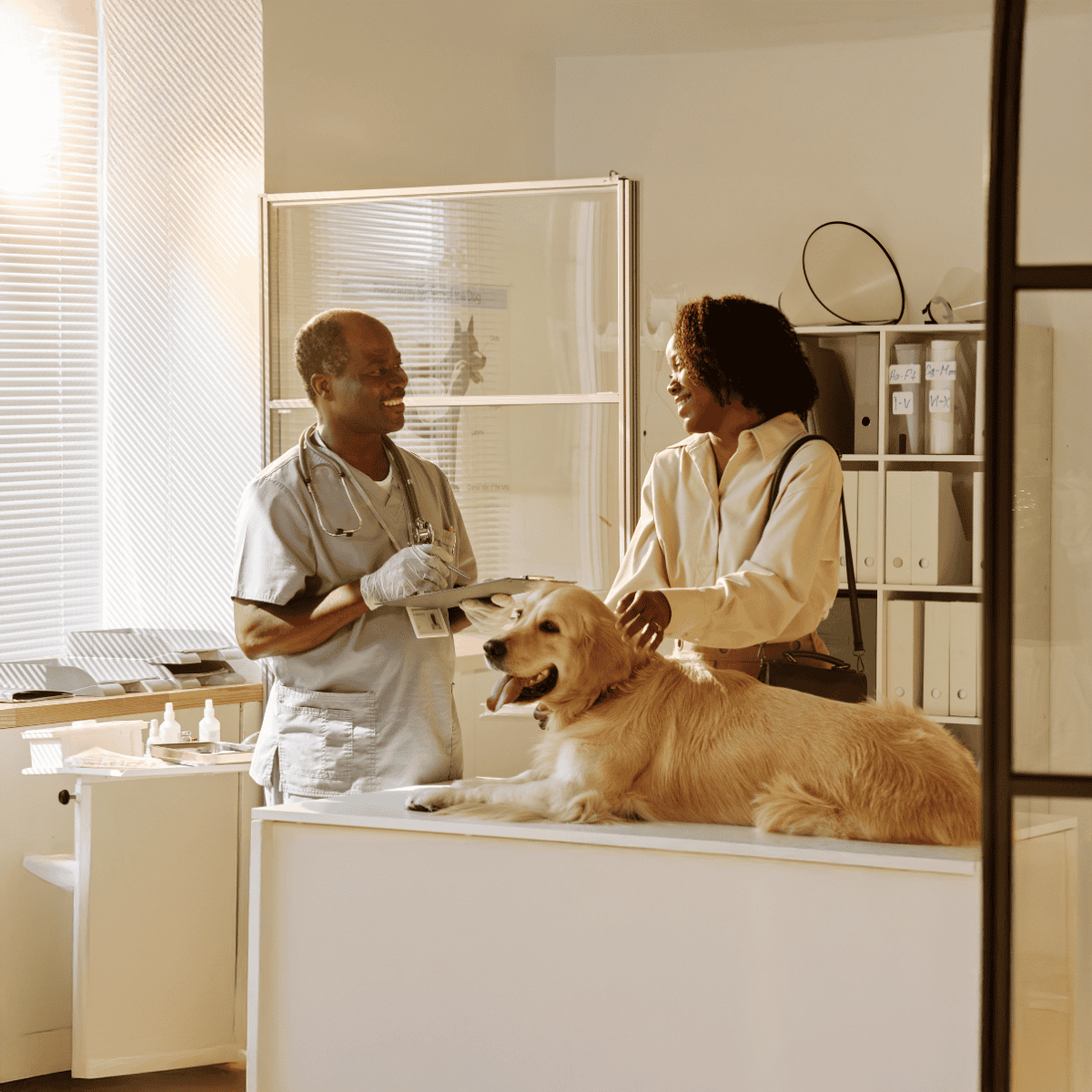 Friendly veterinarian and pet owner in clinic with happy golden retriever.
