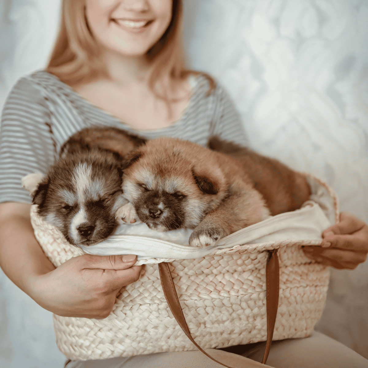 Adorable puppies resting together in a cozy blanket. Perfect for pet lovers and dog adoption enthusiasts.