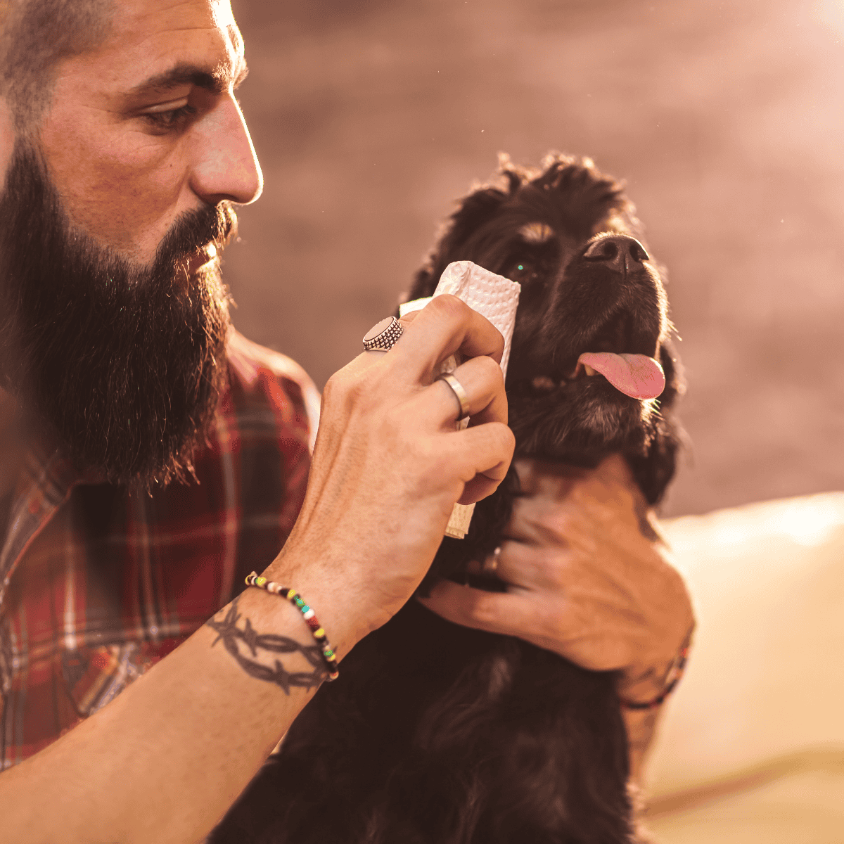 Caring for your dog’s health and hygiene at home with professional grooming tips.