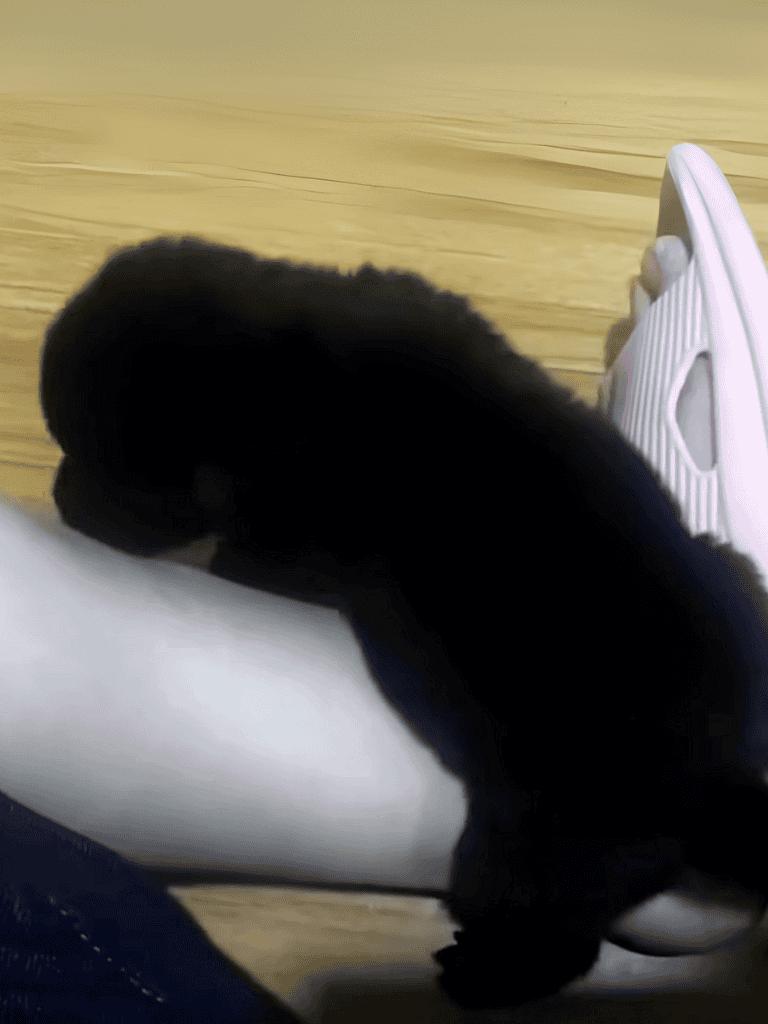 Adorable black puppy resting on a person's lap, cozy and relaxed.