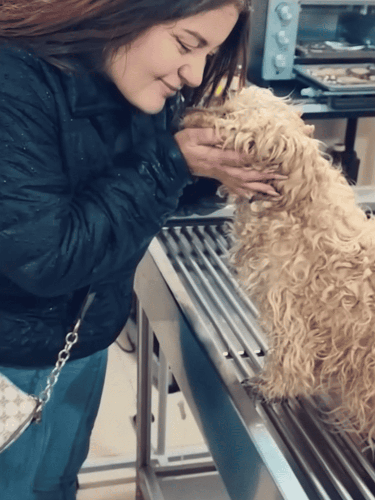 Close-up of woman holding adorable curly-haired dog at the vet.