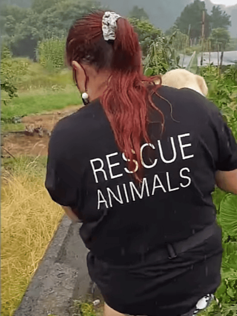 Alt text: Woman in rescue uniform tending to animals in a green outdoor setting.