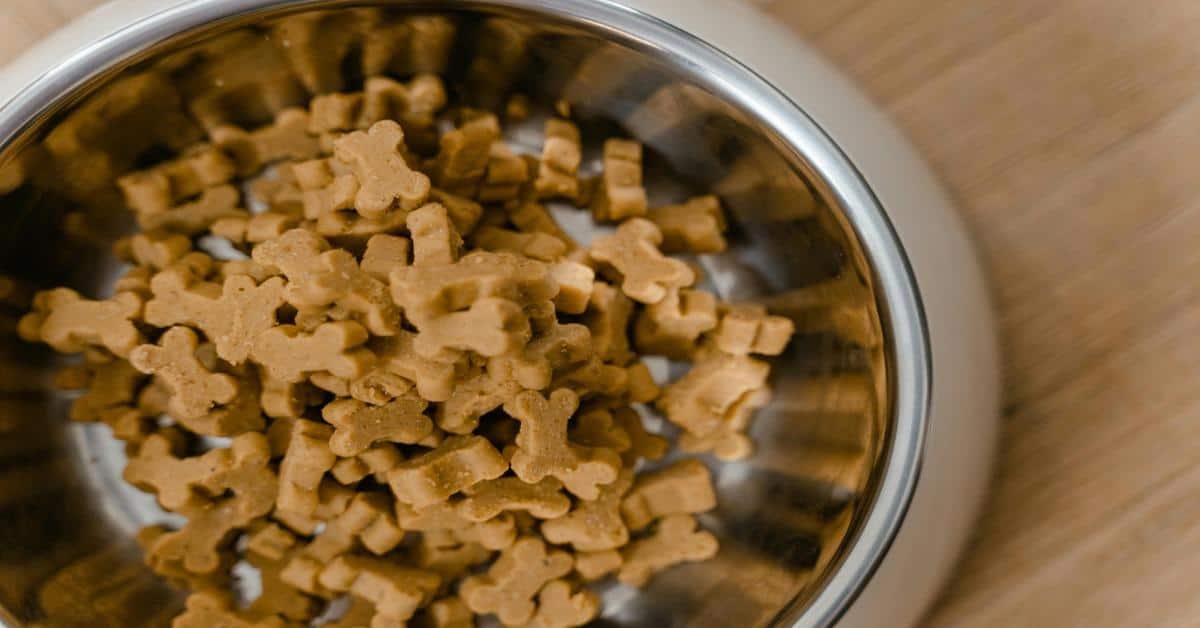 Dog treat biscuits in a stainless steel bowl. Perfect healthy snacks for dogs and pet nutrition.
