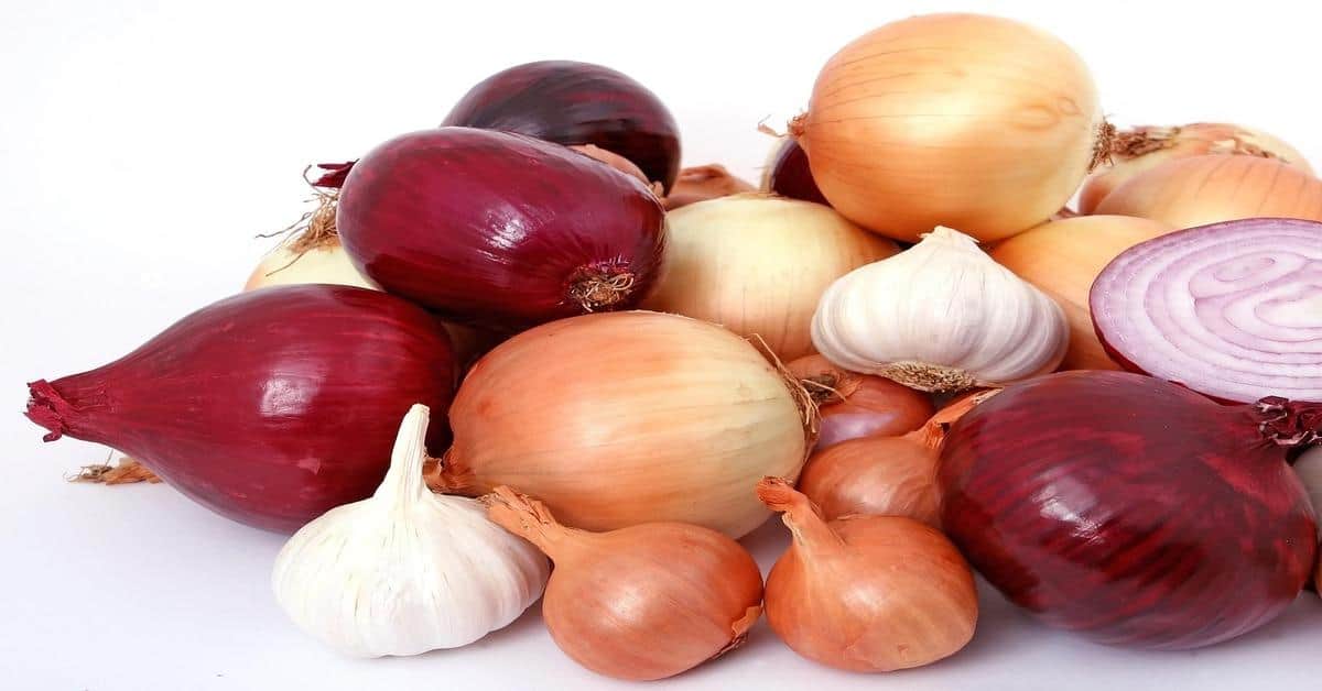 Fresh onion and garlic bulbs, perfect for cooking, gardening, or home remedies.