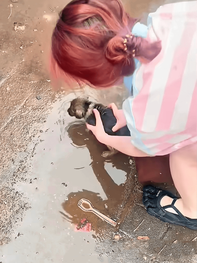 Cute puppy being bathed outdoors on muddy ground with a person cleaning it.