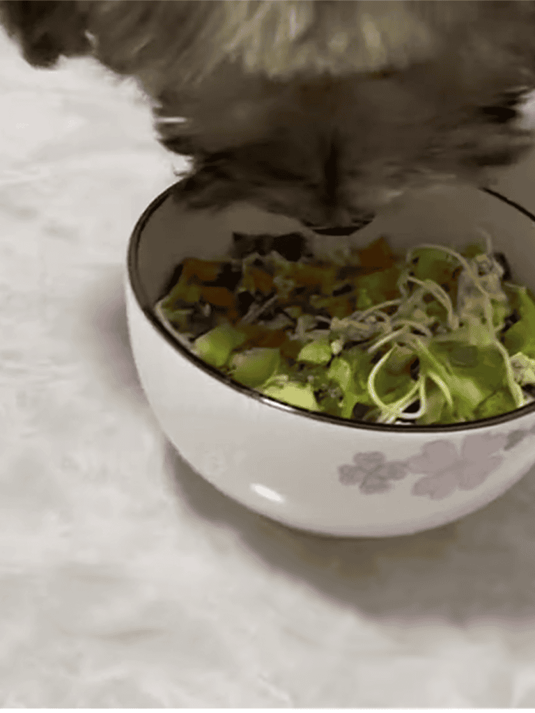 Dog eating healthy vegetables in a bowl, promoting canine nutrition and balanced diet.