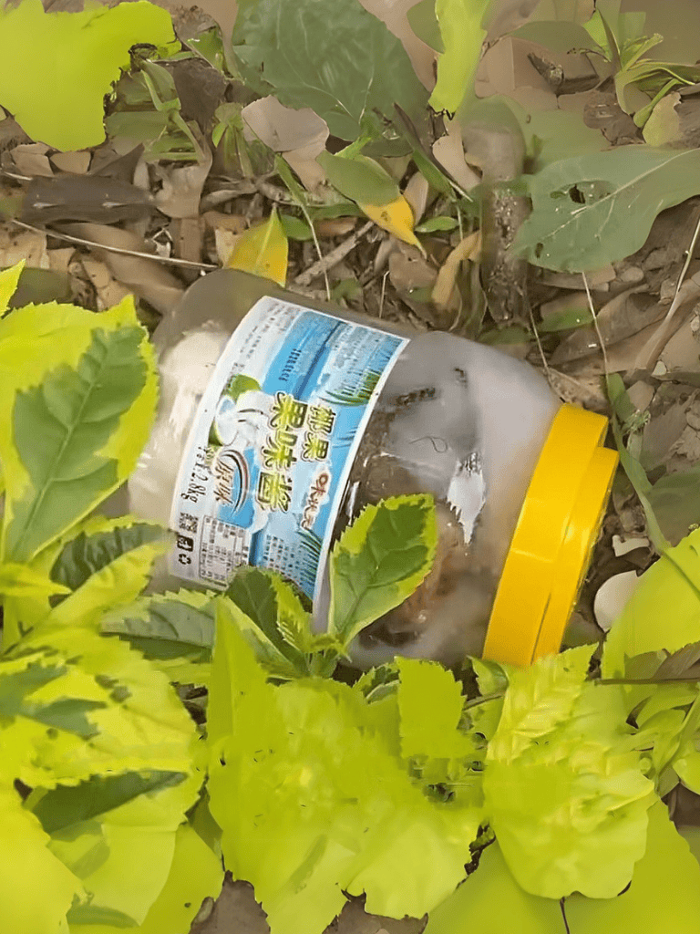 Recycled yogurt jar in the garden among leaves, caution advised to prevent pet ingestion.